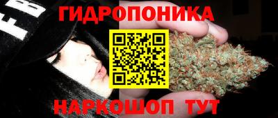 бошки Рязань