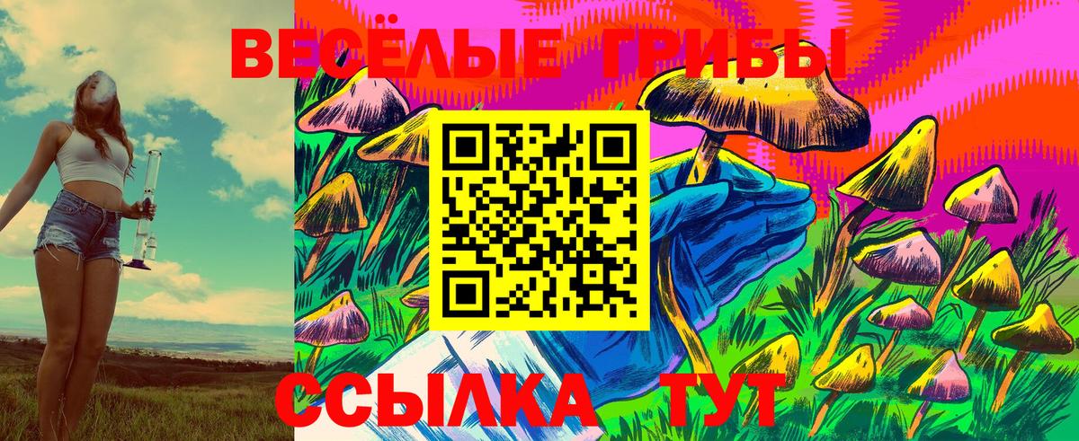 Галлюциногенные грибы GOLDEN TEACHER  Вход с VPN  Рославль 