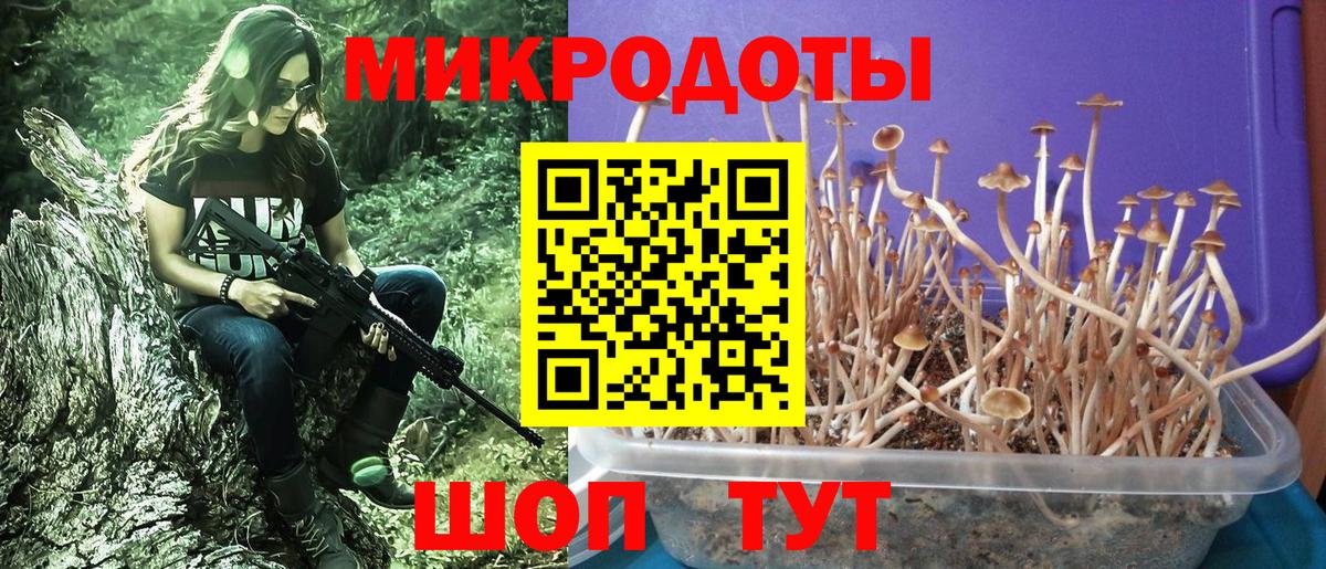 Галлюциногенные грибы прущие грибы Рославль